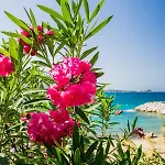 公寓 Comfortable One-bedroom Near The Sea And Casino Merit Park Sel 2-6