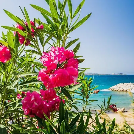 Апартаменты Comfortable One-bedroom Near The Sea And Casino Merit Park Sel 2-6