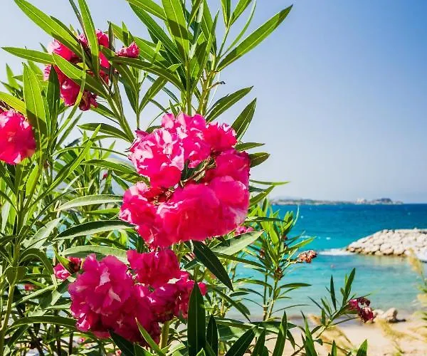 Διαμέρισμα Comfortable One-bedroom Near The Sea And Casino Merit Park Sel 2-6